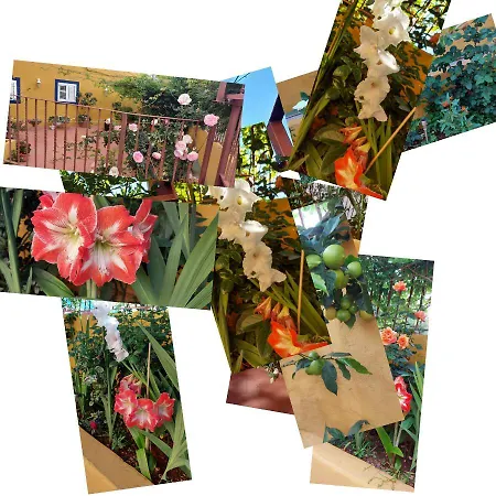 Vakantiehuis Casa Maestro Lelo - Acogedora Canaria Con Patios Y Jardines De Flores Las Palmas